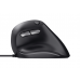 Rato Trust Bayo Ergonómico - USB, 4200 DPI, 6 Botões, Preto