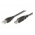 Cabo USB 2.0 Ewent EC1006, 5m - Transferência de Dados e Conexão Segura