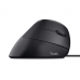 Rato Trust Bayo Ergonómico - USB, 4200 DPI, 6 Botões, Preto