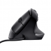 Rato Trust Bayo Ergonómico - USB, 4200 DPI, 6 Botões, Preto