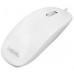 Rato Óptico OEM MP-30 USB 1000 DPI Branco - 2 Botões