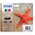 Tinteiro Epson 603 C13T03U64010 - Original, Multipack, 150 páginas a preto