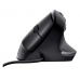 Rato Trust Bayo Ergonómico - USB, 4200 DPI, 6 Botões, Preto