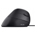 Rato Trust Bayo Ergonómico - USB, 4200 DPI, 6 Botões, Preto