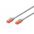 Ewent Chicote Cat6 Utp 3mt Cinza