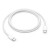 Cabo USB Apple USB-C (Macho) para USB-C (Macho) - 1m, 60W