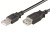 Ewent Cabo Extensão Usb 2.0 M/F Preto 3mt