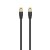 Ewent Chicote Cat8.1 Ftp 1.5mt Black