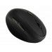 Kensington Pro Fit Ergo Wireless Mouse - rato vertical - 2.4 GHz - K79810WW