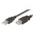 Ewent Cabo Extensão Usb 2.0 M/F Preto 5mt
