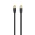 Ewent Chicote Cat8.1 Ftp 0.15mt Black
