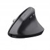 Trust BAYO+ Ergonomic Wireless Mouse BLK
