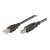 Ewent Cabo Usb 2.0 A/B M/M 1mt