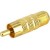 Adaptador RCA para Coaxial StarTech.com RCACOAXMF