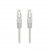 Cabo de Rede Nanocable Cat6 UTP RJ45, 30cm, Cinzento