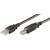 Ewent Cabo Usb 2.0 Usb-A/M para Usb B/M 3.0 Mt