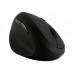 Kensington Pro Fit Ergo Wireless Mouse - rato vertical - 2.4 GHz - K79810WW