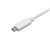 Cabo Startech CDP2DPMM3MW - DisplayPort, 3m