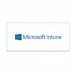 Software de Gestão Microsoft Intune (1 mês)