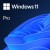Microsoft Windows Pro 11 32/64bit Alll Esd Fqc-10572 Microsoft Windows Pro 11 32/64bit Alll Esd Fqc-10572