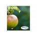 Epson Multipack T129 EasyMail - pack de 4 - tamanho L - preto,amarelo,azul cyan,magenta - original - tinteiro - C13T12954511
