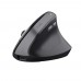 Trust - TM-270 Rato ergonómico sem fios - Preto Trust - TM-270 Rato ergonómico sem fios - Preto