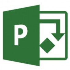 Software Microsoft Project (Cloud, 1 mês)