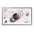 Samsung Flip Pro WM65B - 65